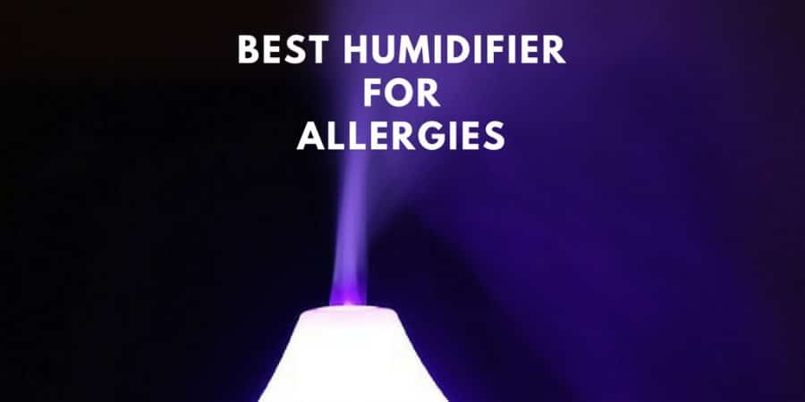 best humidifier for allergies, babies and adults