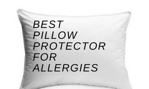 Best Pillow Protection For Dust Mite Allergies