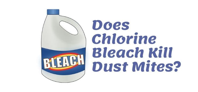 Chlorine bleach kill dust mites
