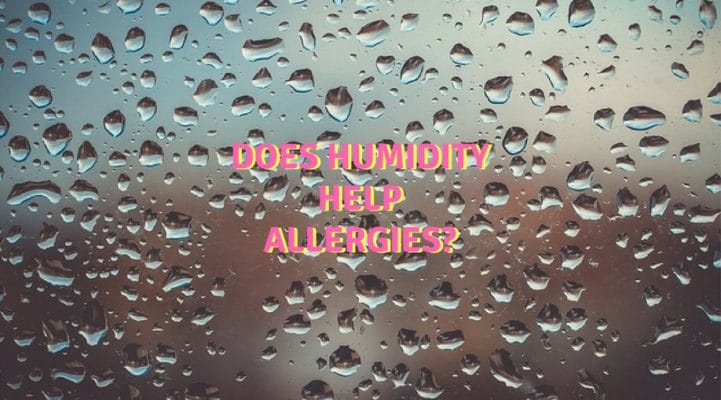 Does humidity help allergies