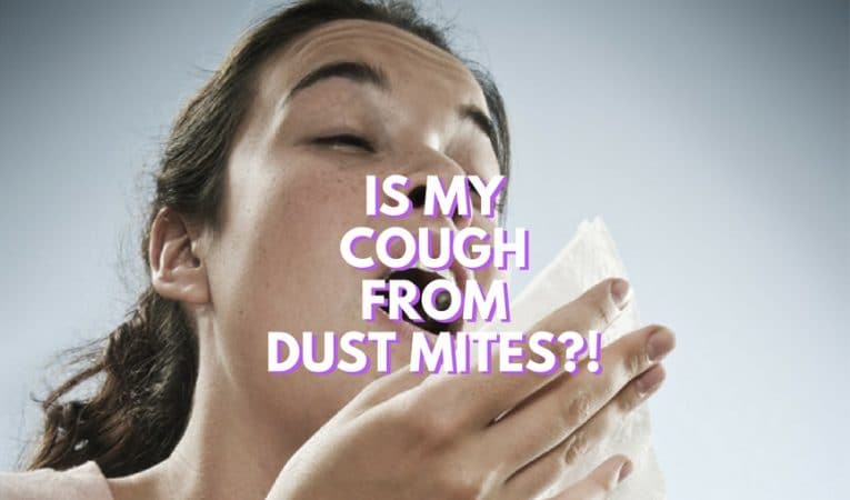 dust mite allergy and chronic cough