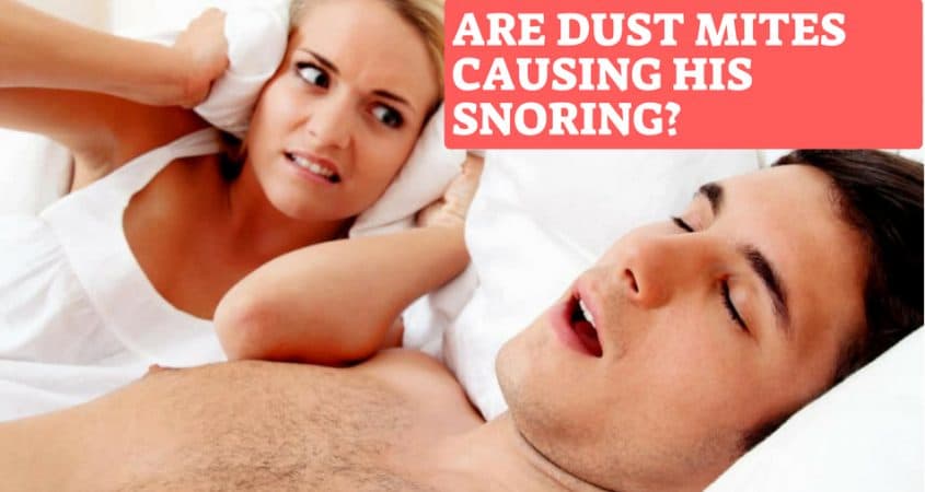 dust mite allergy and snoring