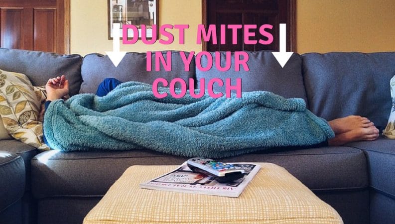 how to get rid of dust mites in your couch